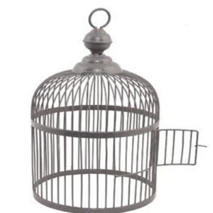 Silver Bird Cage