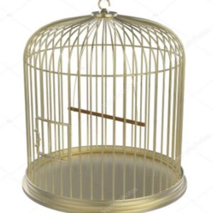 Copper color Bird Cage