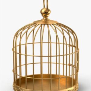 Birds Cage Golden Plated